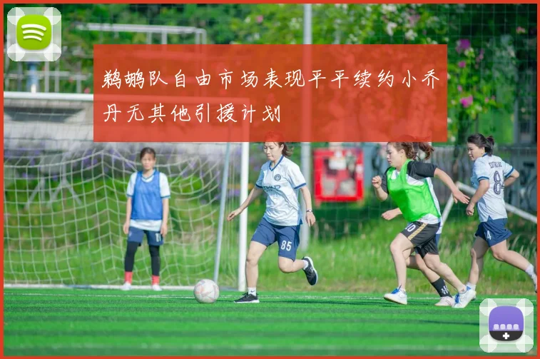 鹈鹕队自由市场表现平平续约小乔丹无其他引援计划